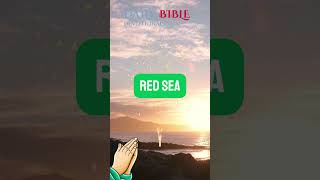 Ultimate Daily Bible Quiz Book of Exodus [upl. by Worra]