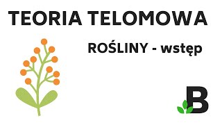 Teoria TELOMOWA  ROŚLINY wstęp  FIZJOLOGIA roślin  KOREPETYCJE z BIOLOGII  284 [upl. by Hguh]