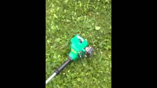 Weed eater Featherlite weed whacking [upl. by Witcher]