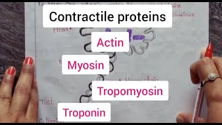 Contractile proteins  actin  myosin  tropomyosin  Troponin  Bsc  PUC  Life Sciences [upl. by Losse]