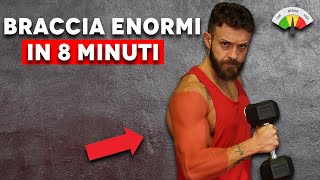 BICIPITI E TRICIPITI ENORMI IN 8 MINUTI  scheda palestra [upl. by Gordon]