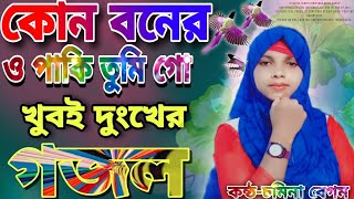 কোন বনের ও পাকি তুমি গো  খুবই দুংখের গজল  Bangla islamik gojol  barrey heart touching gojol [upl. by Eneles573]