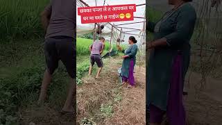 😂🤣Tero paisa laija mero baisa firta le video by pawankhanal  Chhakka panja 5 breakup song nepali [upl. by Ehtnax767]