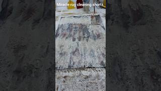 Dirty Rug EXPERT Reveals SHOCKING Deep Cleaning Secrets [upl. by Hnib]