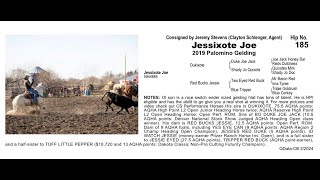 Pitzer Ranch Spring Sale 2024 Lot 185 JESSIXOTE JOE [upl. by Valli]