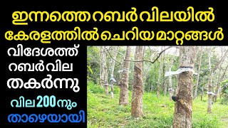 ഇന്നത്തെ റബ്ബർ വിലയിൽ പ്രതീക്ഷ മങ്ങി കേരളം  Manojnediyackal rubber tapping [upl. by Etnaik136]