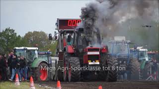 Trekkertrek Achtmaal 21 April 2024 Mega Agri Sportklasse tot 8 ton [upl. by Ablem711]