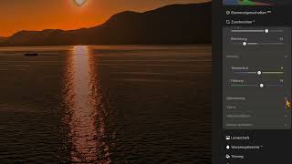 Dämmerungsoptimierer in Luminar Neo [upl. by Burnley]