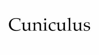 How to Pronounce Cuniculus [upl. by Assenna]