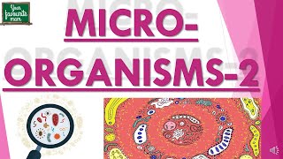 Microorganisms  MICROORGANISMS FRIEND AND FOE  Science  Class 8  Part 2 [upl. by Otrebliw892]