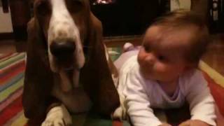 Basset hound and baby [upl. by Zita637]