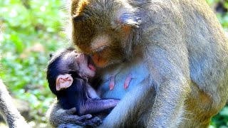 The baby telling mommy I am hungry for milk [upl. by Ecadnak493]