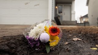 Edmonton bylaw in question after fatal dog attack that left an 11yearold boy dead [upl. by Ettolrahc555]