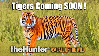 Tigers Are Coming To theHunter Call Of The Wild [upl. by Aratnahs]