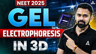 Gel Electrophoresis in 3D  How Gel Electrophoresis Works  NEET 2025  Vishal Sir [upl. by Annovad]