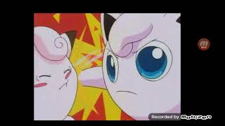 jigglypuff vs clefairys💀 [upl. by Berneta]