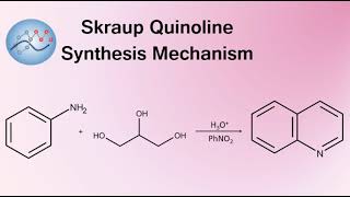 Skraup Quinoline Synthesis Mechanism  Organic Chemistry [upl. by Alejna354]