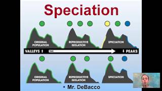 Speciation [upl. by Festa360]