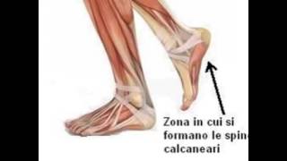 LOsteopatia Biodinamica per lo sperone calcaneare [upl. by Nodle]