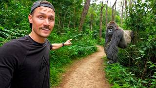 5 Hours with Wild Mountain Gorillas Worlds Best Wildlife Encounter [upl. by Enelyaj555]