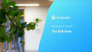 Shopware B2B Suite 1010 [upl. by Awram646]