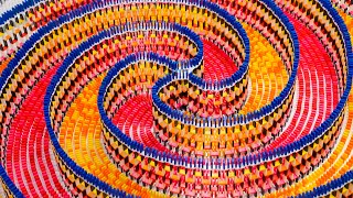 THE AMAZING QUADRUPLE SPIRAL 15000 DOMINOES [upl. by Sayce677]