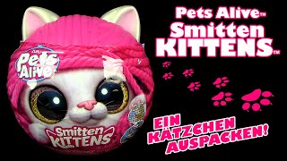 Zuru ® Pets Alive ™ Smitten Kittens ™ Kätzchen auspacken mit Sound  Flasche  Streu  Stickers etc [upl. by Willi]