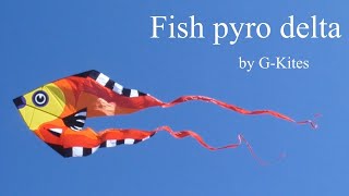 Fish Pyro Delta kite [upl. by Urban]