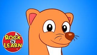 Pop Goes the Weasel  Song for Kids  Rock N Learn [upl. by Yarehs]