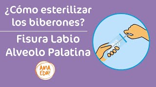 ¿Cómo esterilizar el biberón  Fisura Labio Palatina [upl. by Shell]