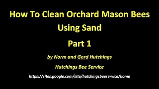 Orchard Mason Bees  Cocoons Cleaning Using Sand Part 1 [upl. by Nohsyt]