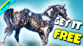 MustHave Horse Silver Dapple Pinto Easy Guide  RDR2 [upl. by Glynas710]