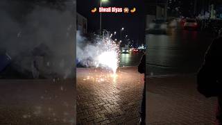 Deepavali 2025 Diwali DiyasDiwali Momentsindianfestivalshortvideo diwalifestDo subscribe 🪔🪔 [upl. by Anoynek]