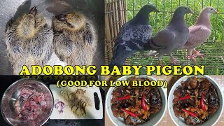 Cooking Adobong Baby Pegion  GOOD for LOW BLOOD Tested [upl. by Thursby950]