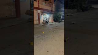 Dar ka mahool hai🫨diwali special firework💥subscribe the channel for more videos… [upl. by Haskins]