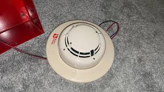 How to set the address on a Silent Knight SD505PHOTO smoke detector [upl. by Arde]