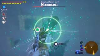 BotW171b  BEST How To Kill MolduKing amp Big Or Small Keive Tala Shrine DLC2 Champion Urbosas Song [upl. by Eelanaj577]