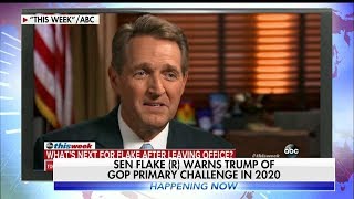 Jeff Flake Discusses Possible 2020 Run Against Trump [upl. by Ysdnyl]