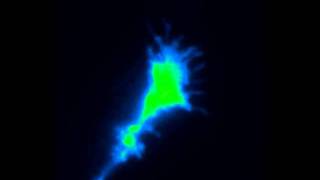 Timelapse images of a zebrafish neuron loaded with a calcium sensor during depolarization [upl. by Htebyram]