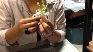 Cómo hacer un Boutonniere para el novio wwwRamosdeNoviaMx [upl. by Einnhoj]