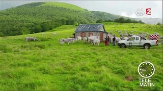 Marchés  Un été en Ariège [upl. by Neema]