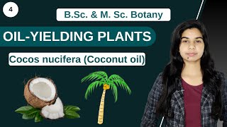 Economic Botany  OILYIELDING PLANTS  Cocos nucifera coconut oil  B Sc amp M Sc [upl. by Tootsie]