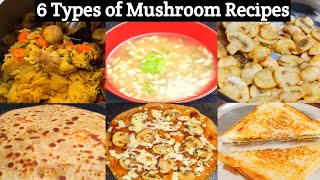 6 Types of Mushroom Recipes mushroom mushroomrecipe mushroomrecipes [upl. by Inaflahk]