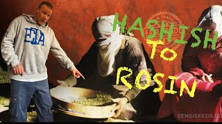 HASHISH to ROSIN… The HISTORY [upl. by Aihc]