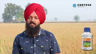 Pexalon  Corteva  Arshpreet Singh  Farmer Testimonial  Punjabi  Rice [upl. by Also]