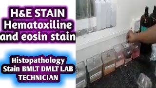 Hematoxylin and eosin stain  H and E stain  Histopathology stain [upl. by Adnilrem]