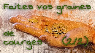 Faites vos propres graines de courges 22 [upl. by Osugi629]