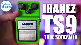 Ibanez TS9 Tube Screamer  How it Really Sounds [upl. by Goles]