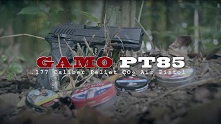 Gamo PT85 Chapter 1 [upl. by Blount]