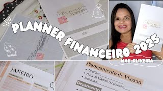 MEU PLANNER FINANCEIRO 2025 anual e mensal • Mostrando os detalhes ✨💰 [upl. by Guise865]